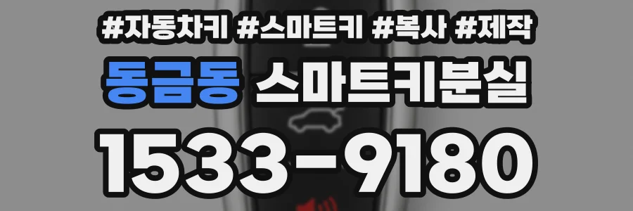 동금동 스마트키분실