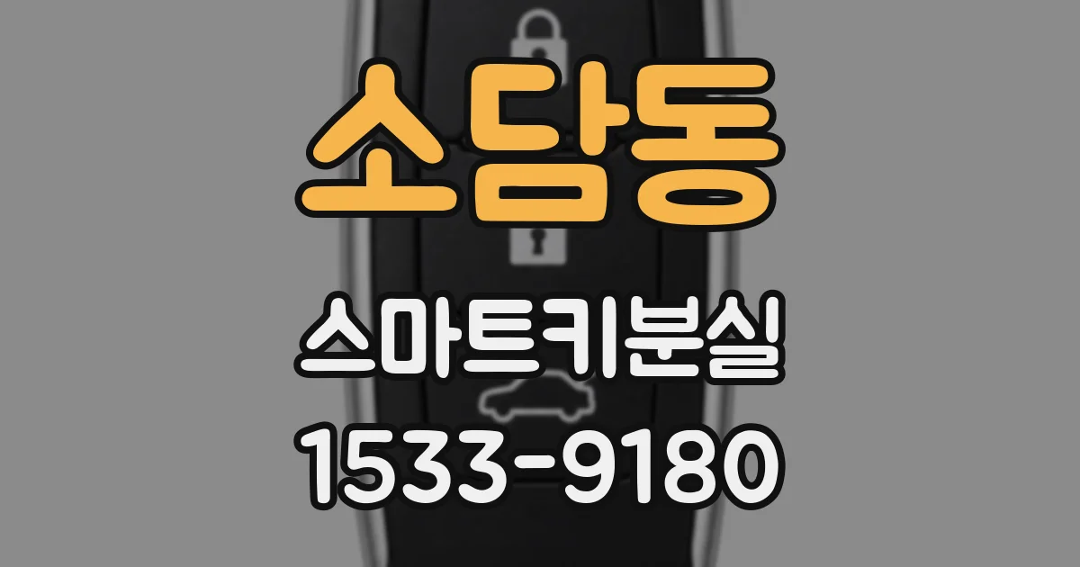 소담동 스마트키분실