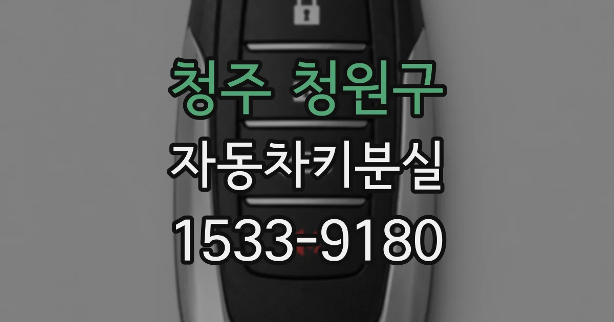 청주 청원구 자동차키분실