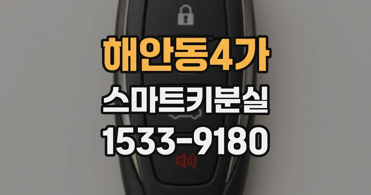해안동4가 스마트키분실