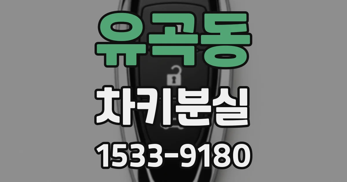 유곡동 차키분실
