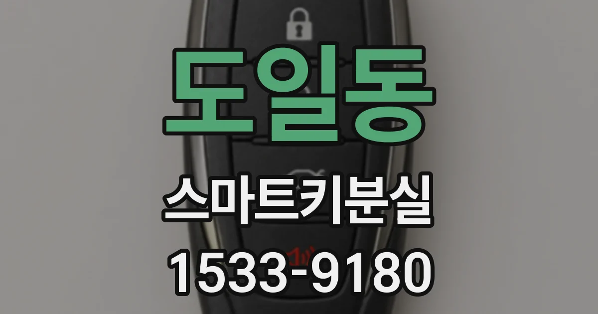 도일동 스마트키분실