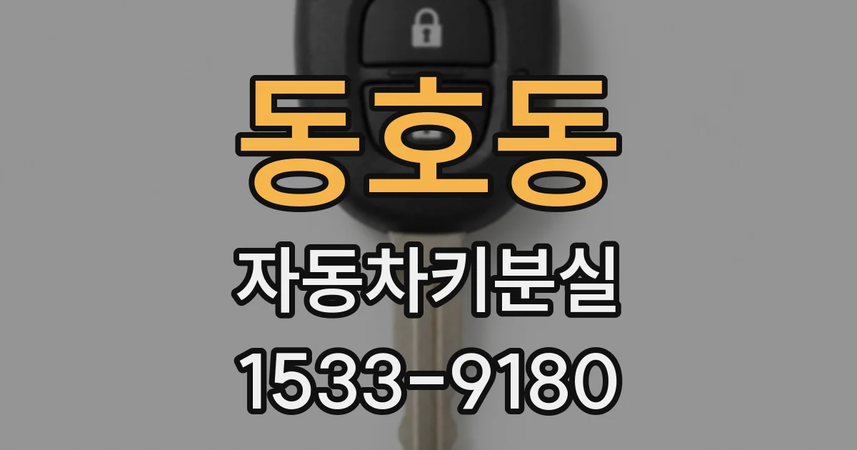 동호동 자동차키분실