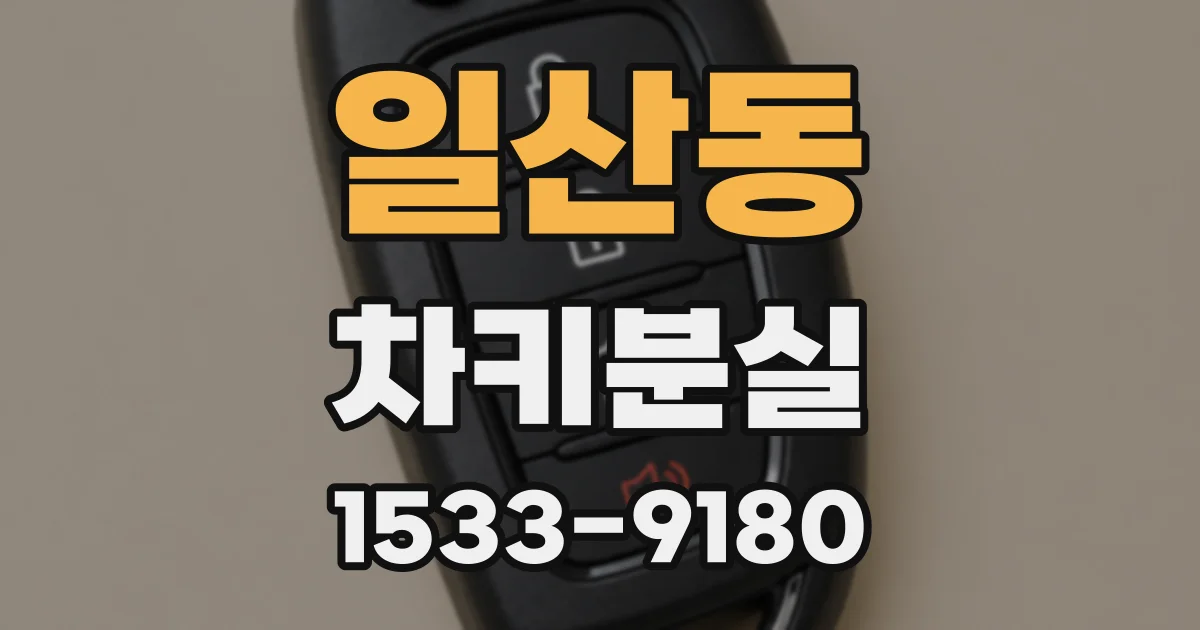 일산동 차키분실