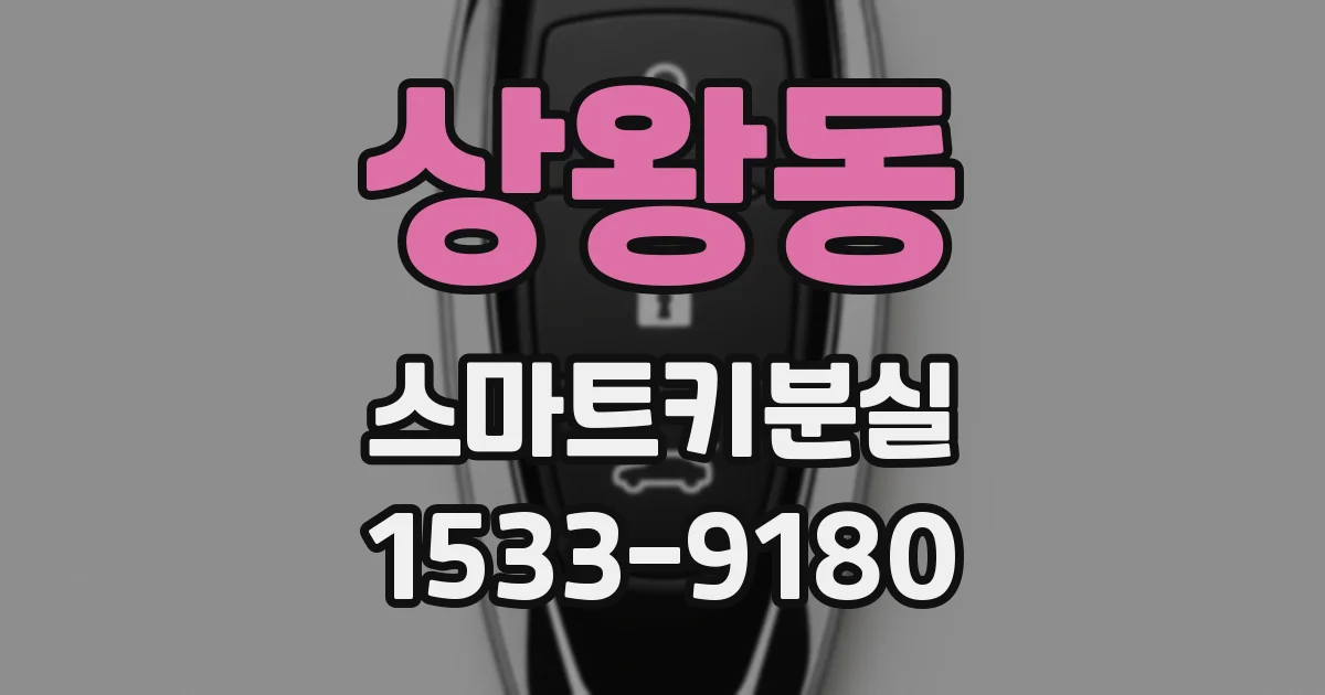 상왕동 스마트키분실