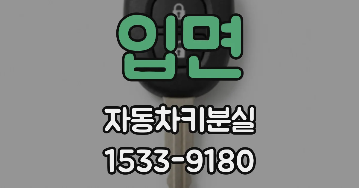 입면 자동차키분실