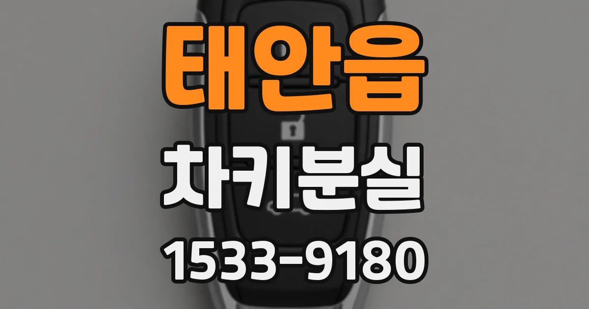 태안읍 차키분실