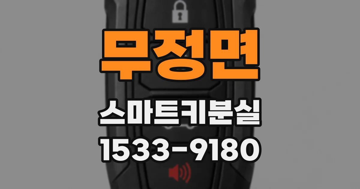 무정면 스마트키분실