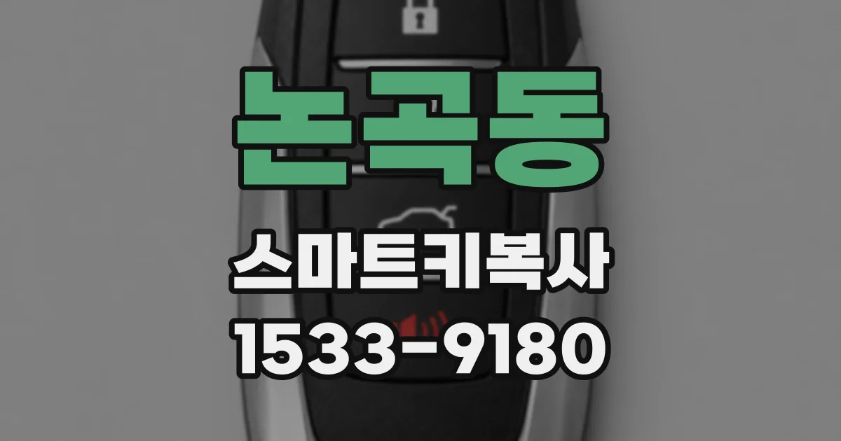 논곡동 스마트키복사