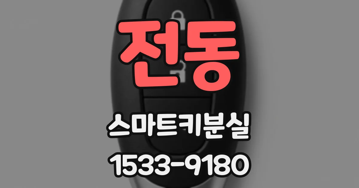 전동 스마트키분실