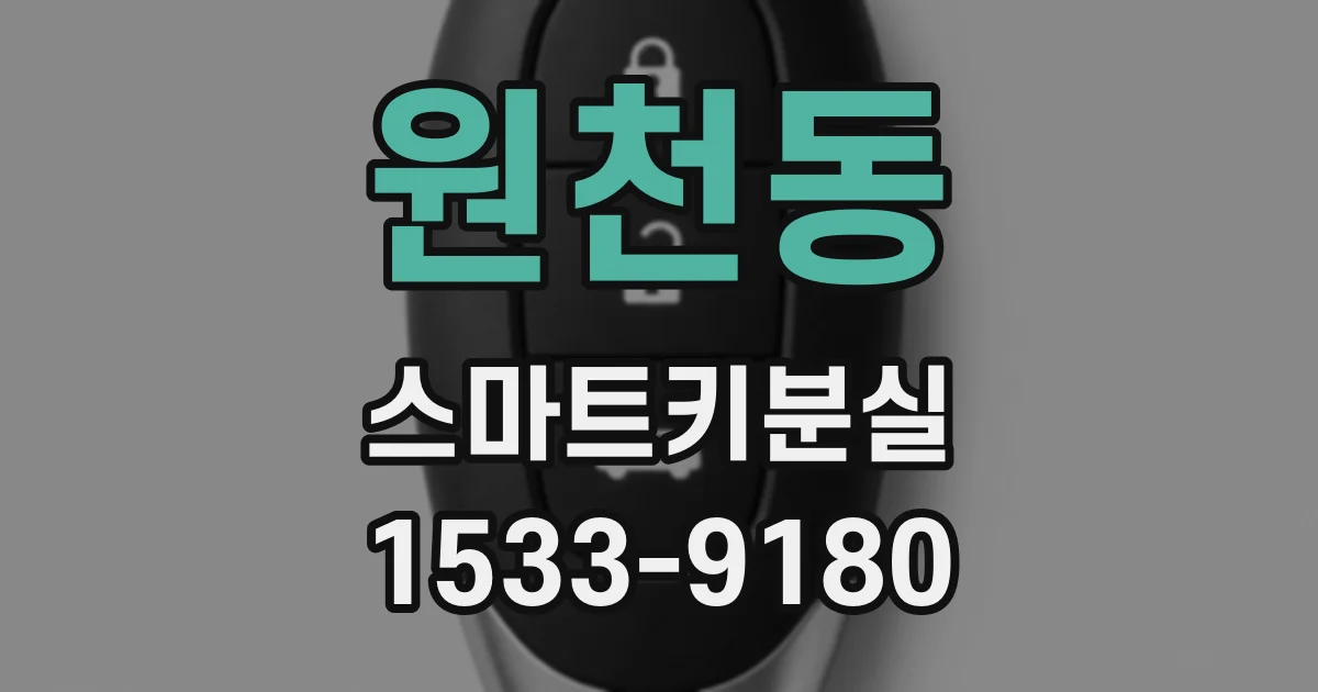 원천동 스마트키분실