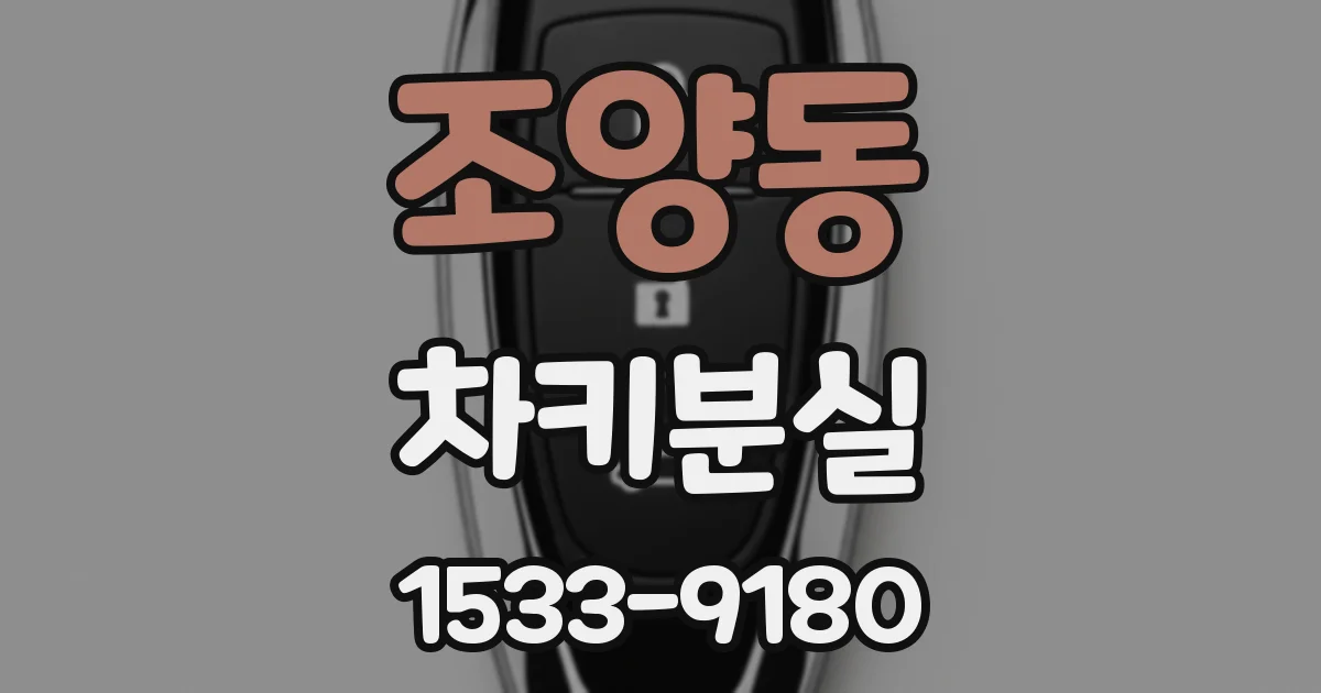 조양동 차키분실