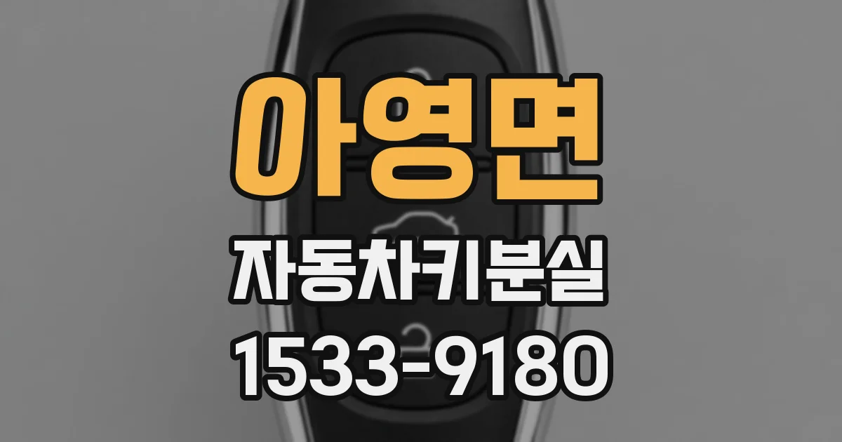 아영면 자동차키분실