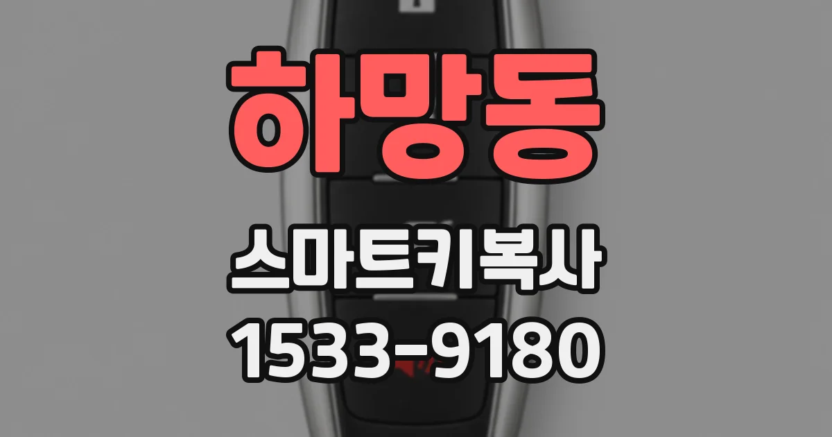 하망동 스마트키복사