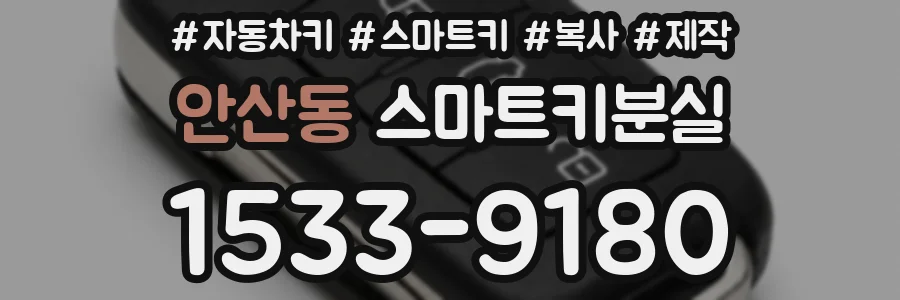 안산동 스마트키분실
