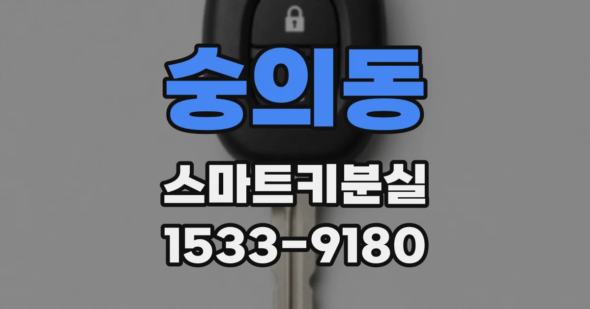 숭의동 스마트키분실