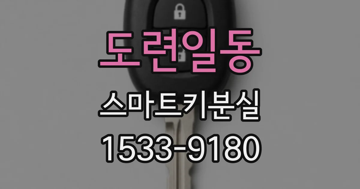 도련일동 스마트키분실