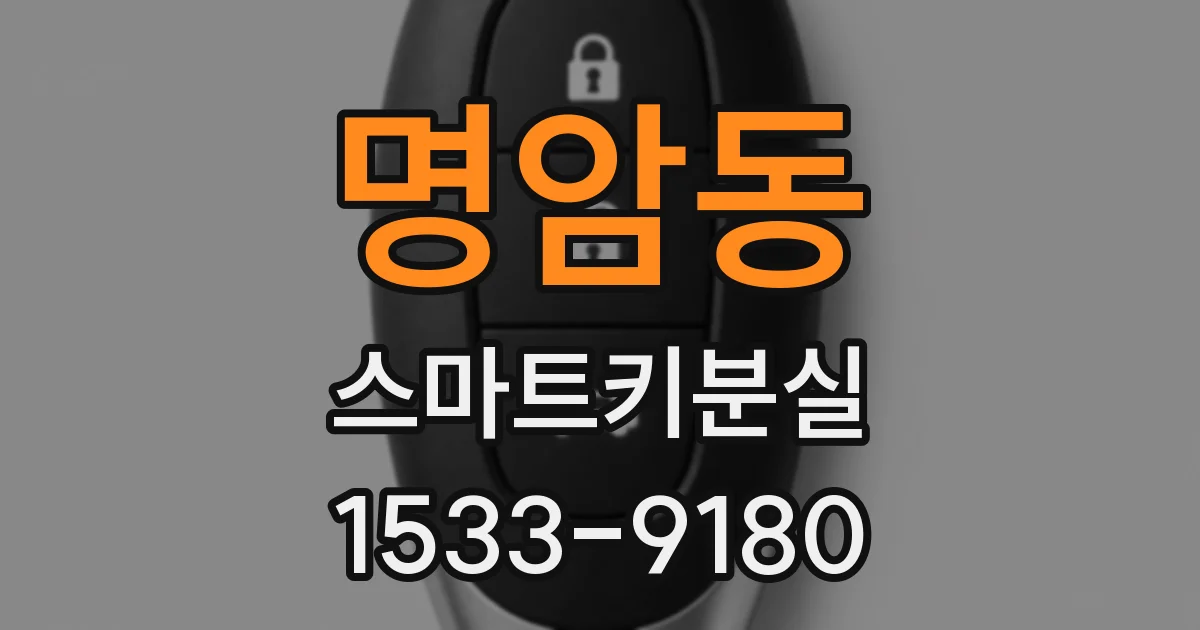 명암동 스마트키분실