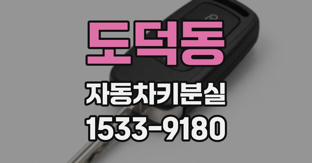 도덕동 자동차키분실