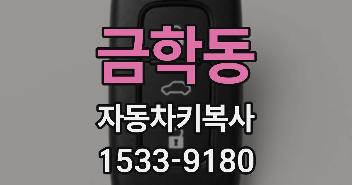 금학동 자동차키복사