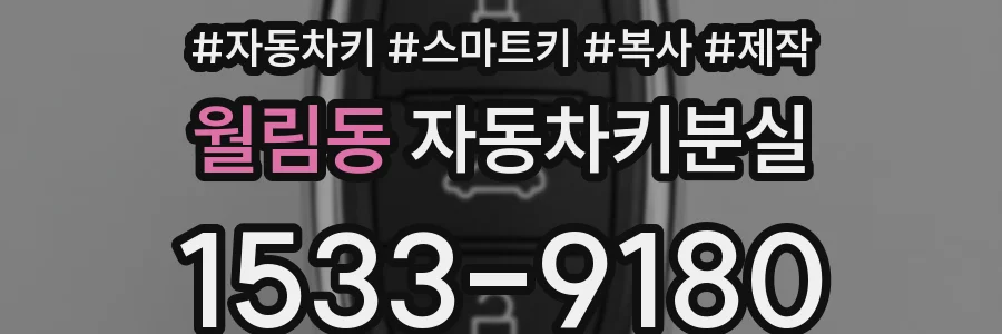 월림동 자동차키분실