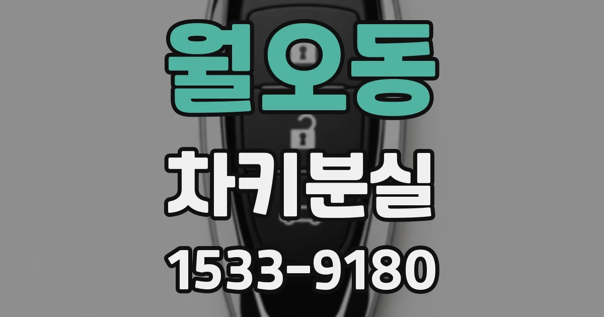 월오동 차키분실