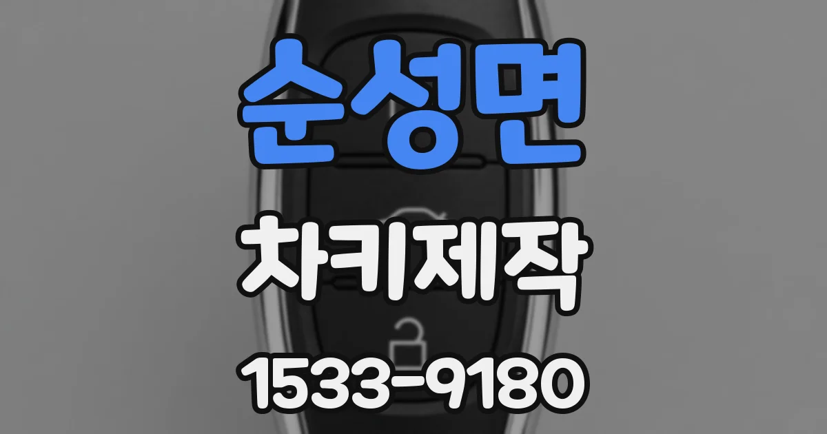 순성면 차키제작