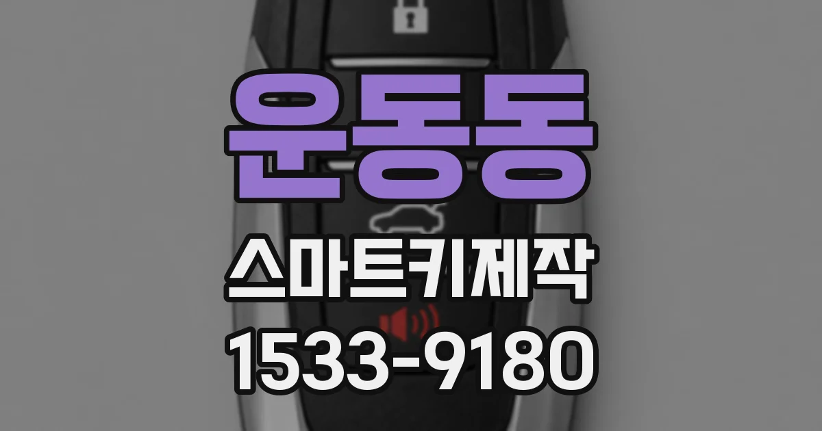 운동동 스마트키제작
