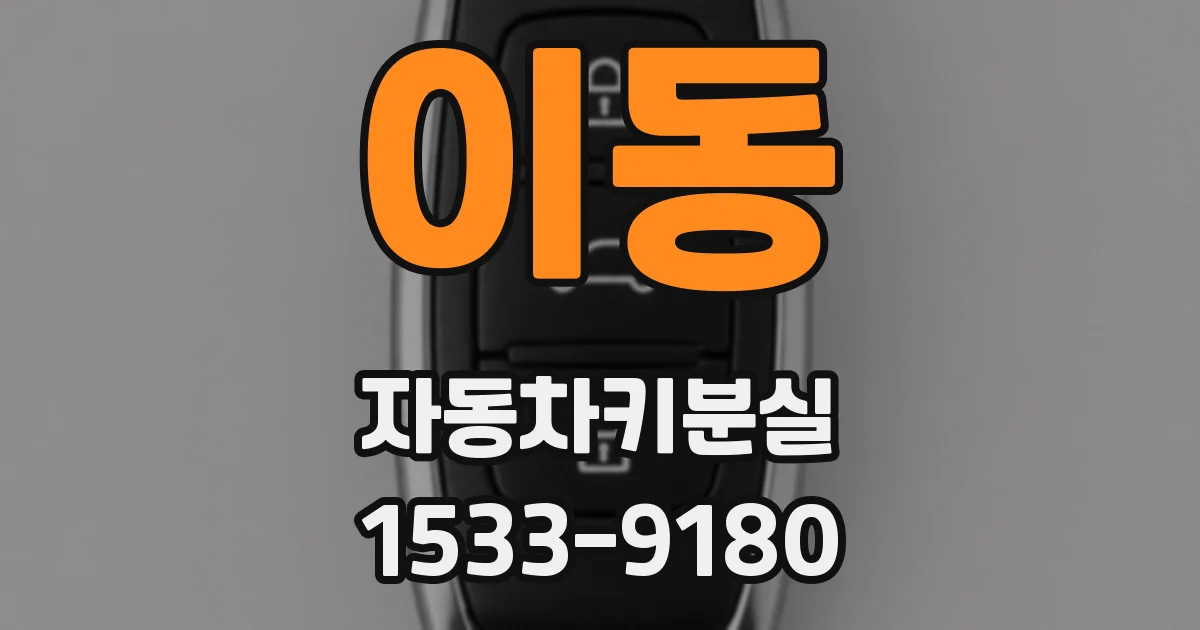 이동 자동차키분실
