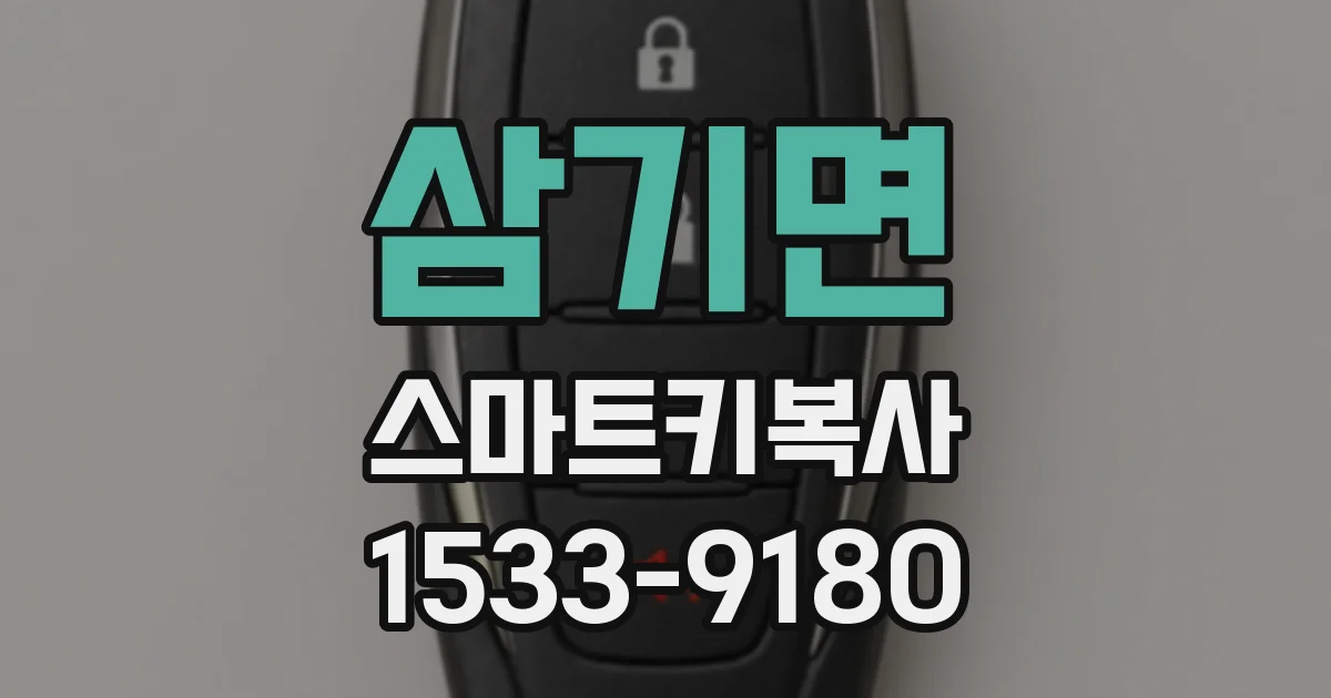 삼기면 스마트키복사