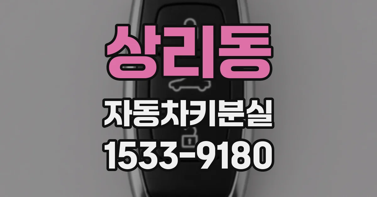 상리동 자동차키분실