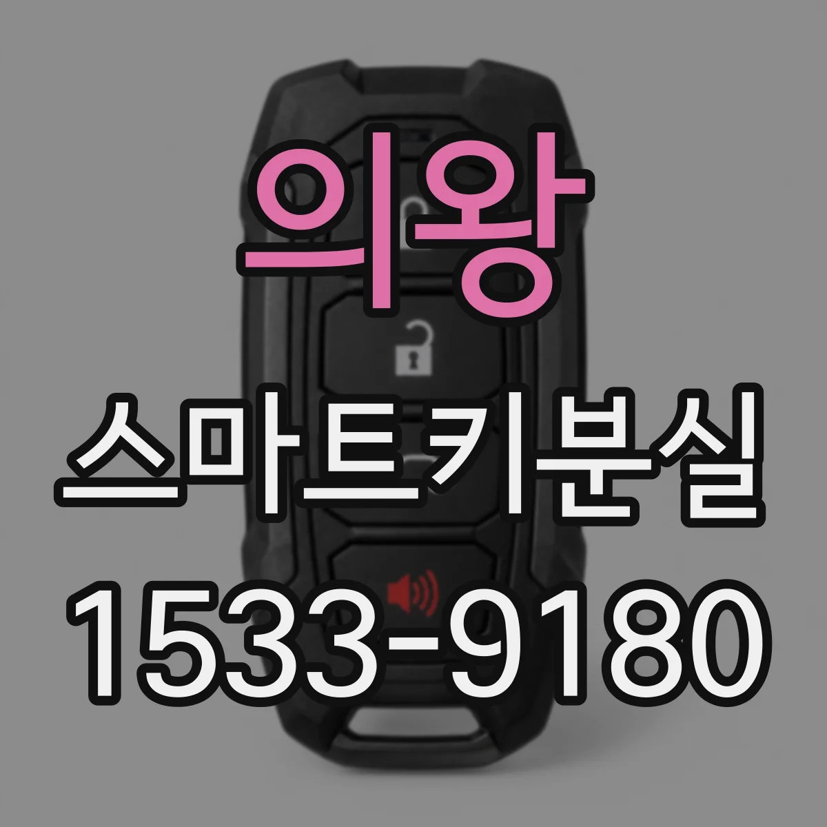 의왕 스마트키분실