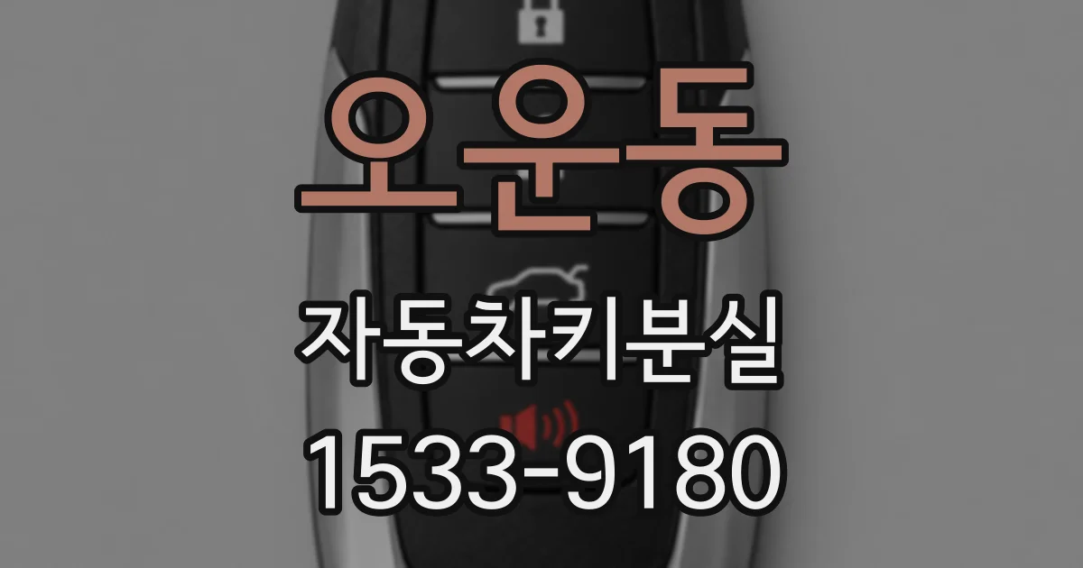 오운동 자동차키분실
