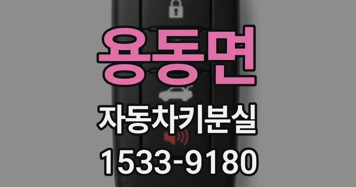용동면 자동차키분실