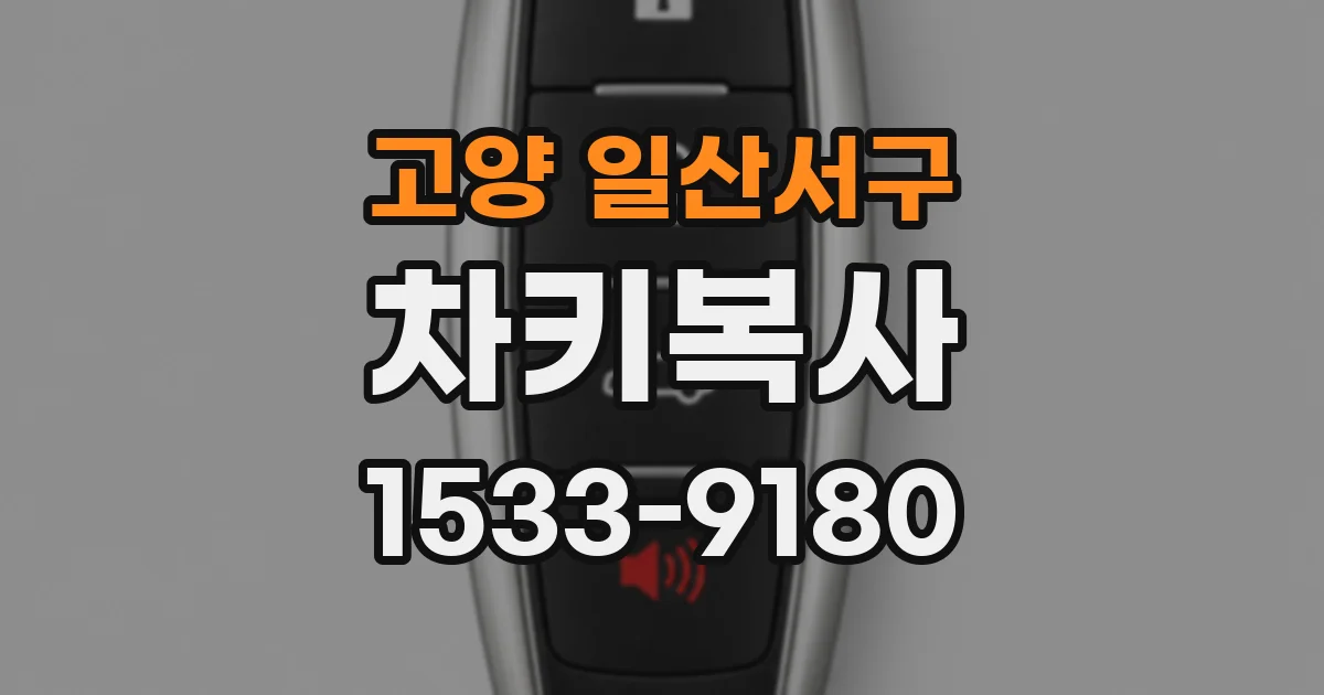 고양 일산서구 차키복사