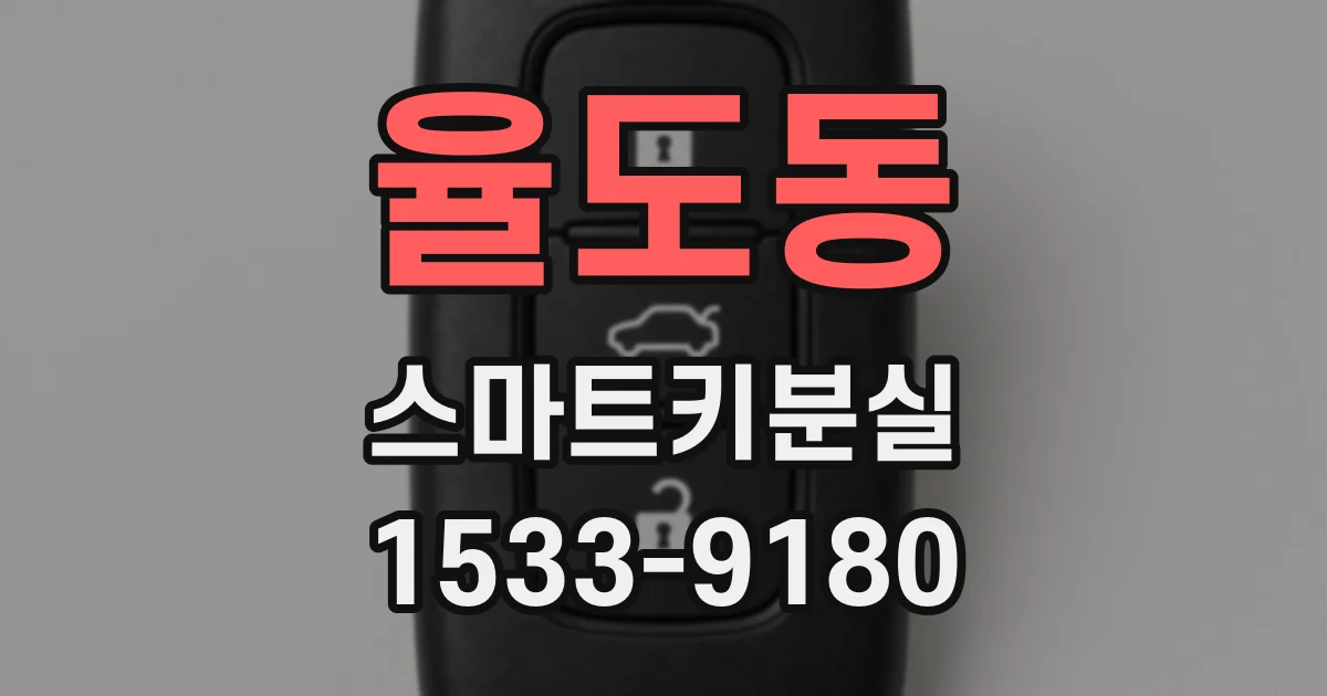 율도동 스마트키분실