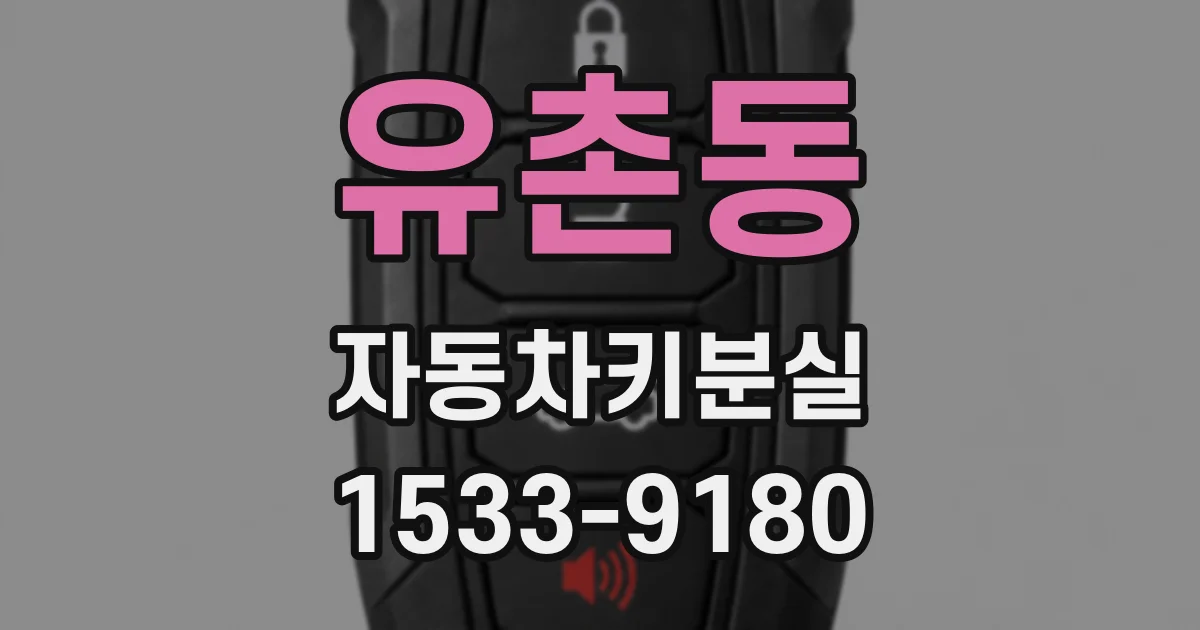 유촌동 자동차키분실
