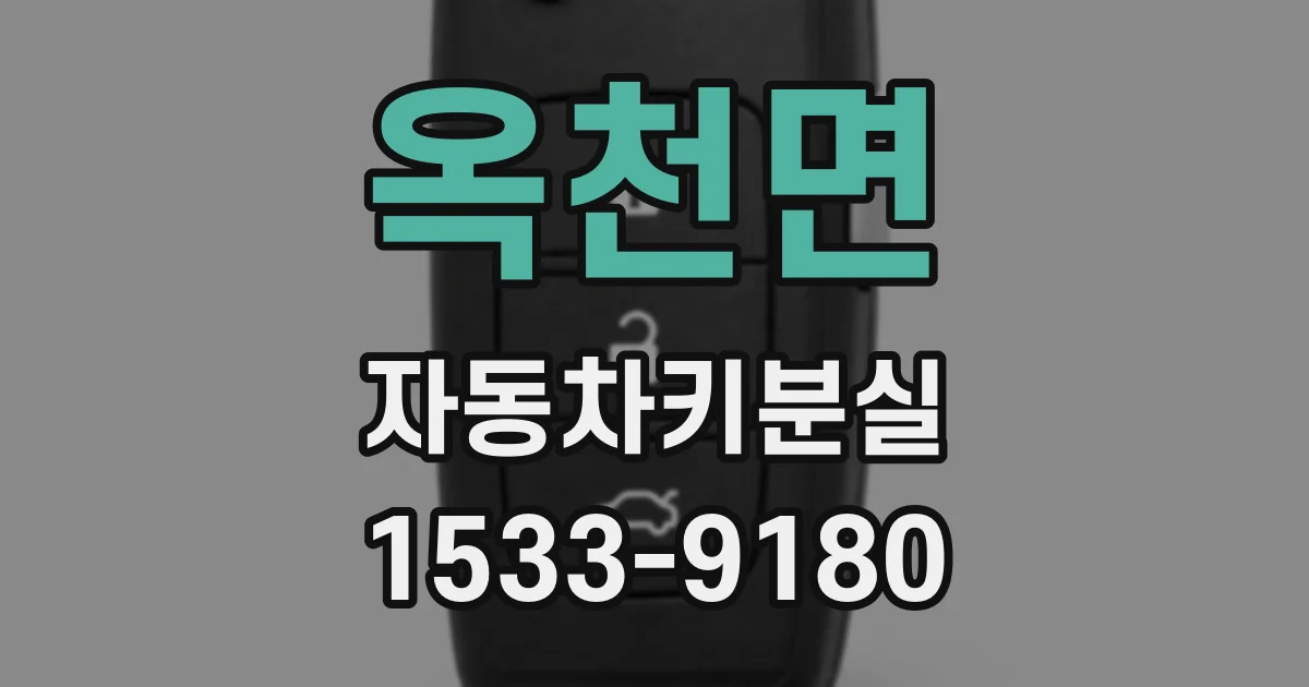 옥천면 자동차키분실
