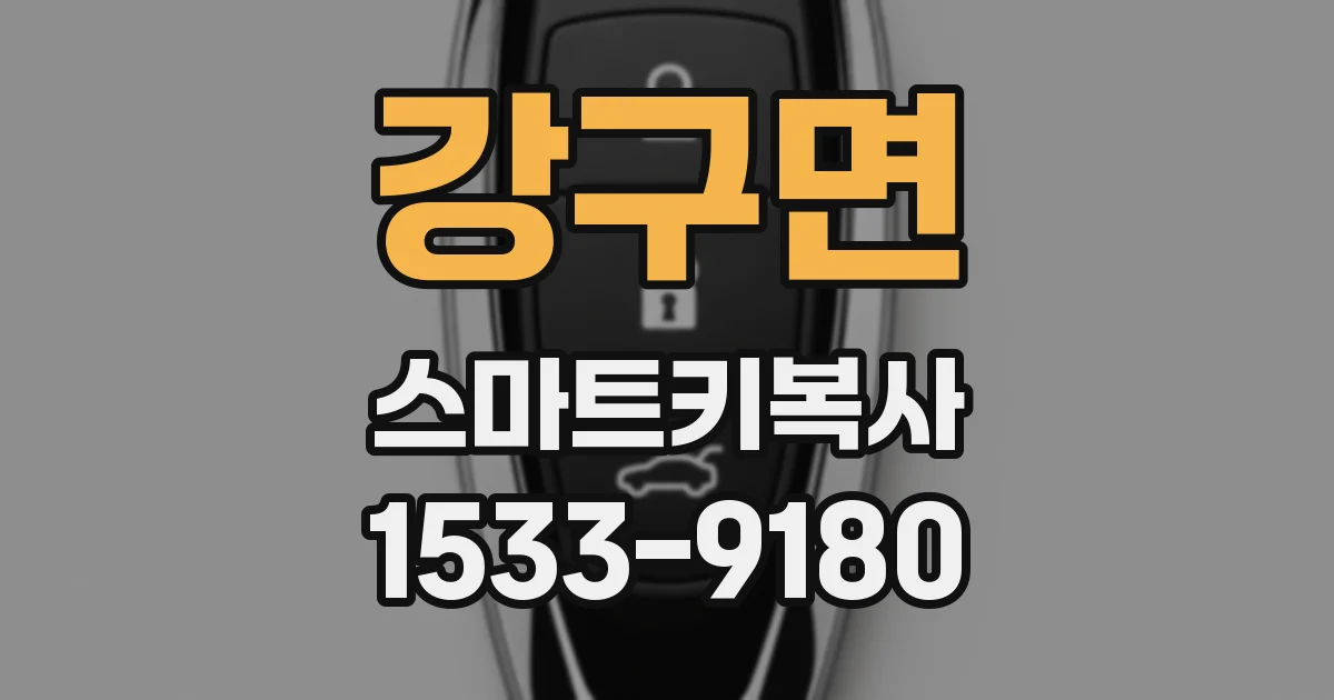 강구면 스마트키복사