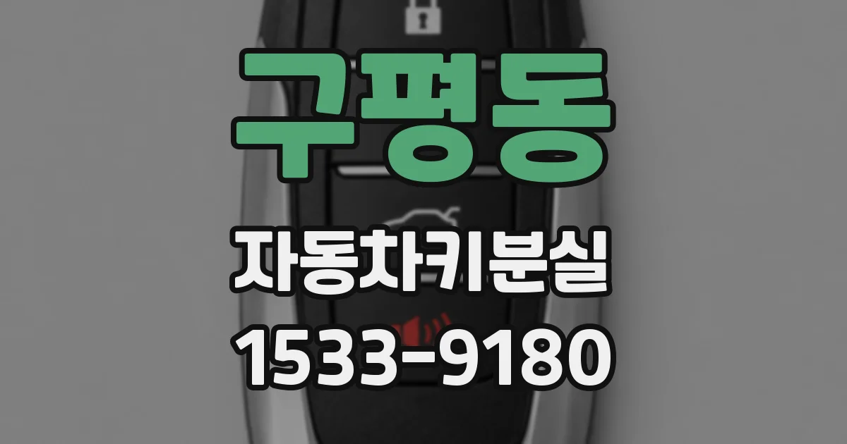 구평동 자동차키분실