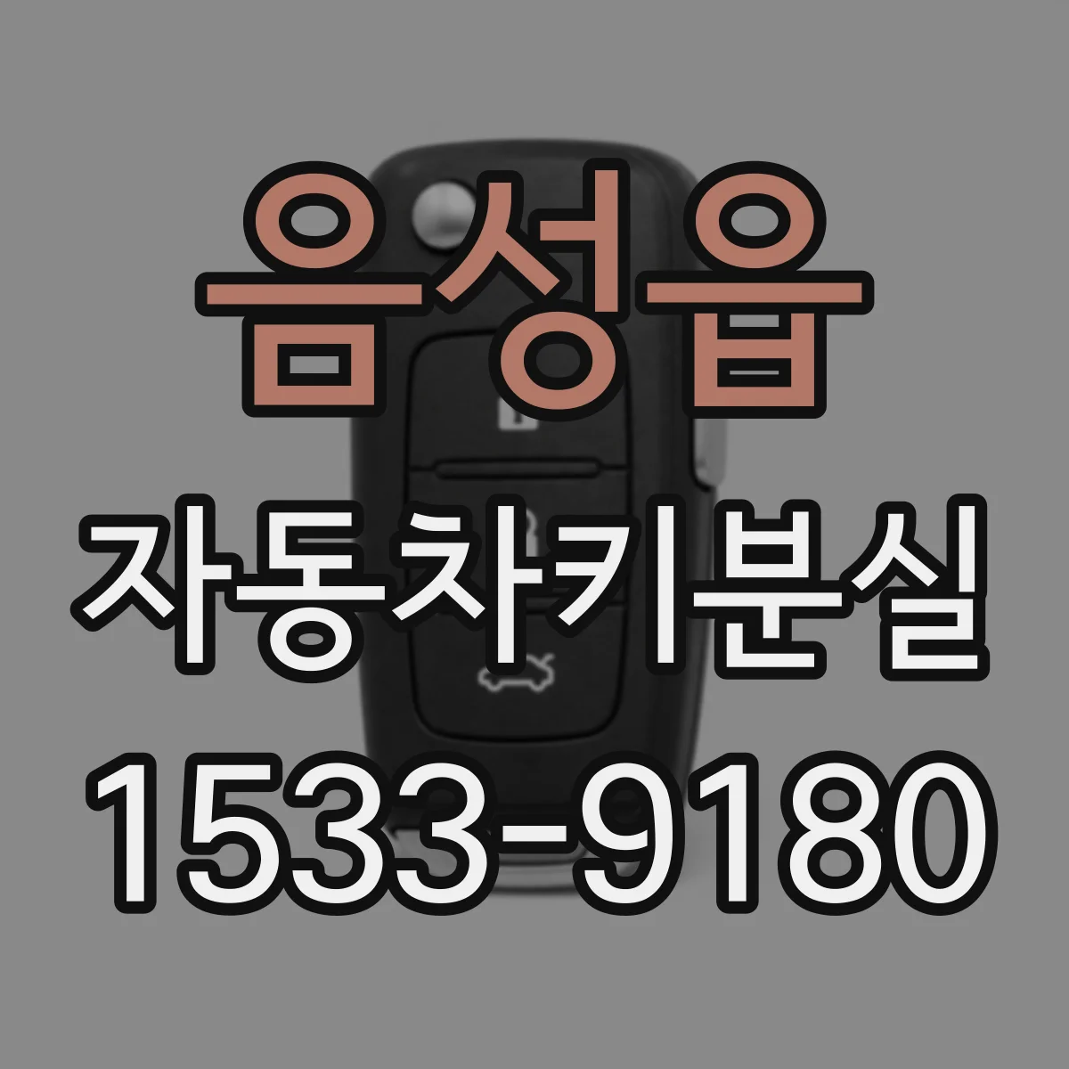 음성읍 자동차키분실