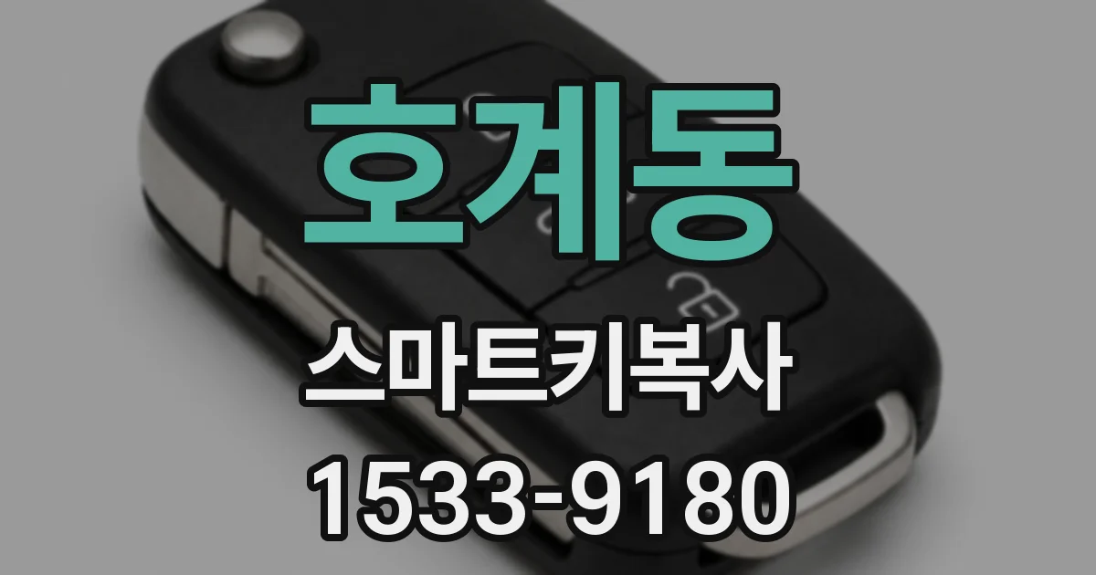 호계동 스마트키복사