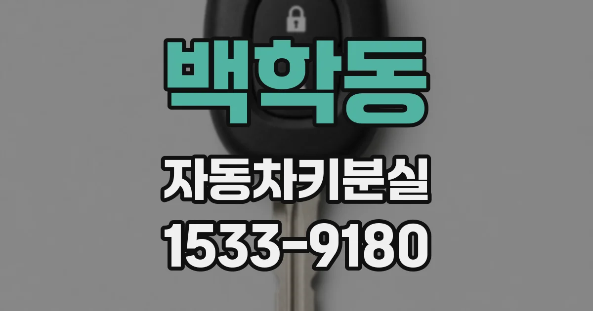 백학동 자동차키분실