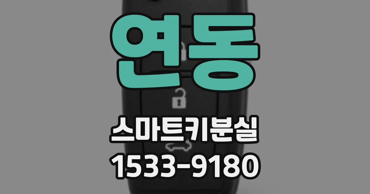 연동 스마트키분실