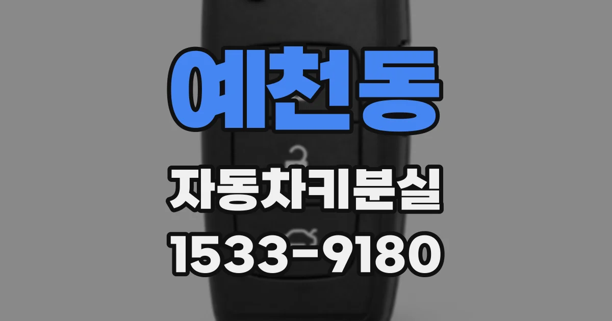 예천동 자동차키분실