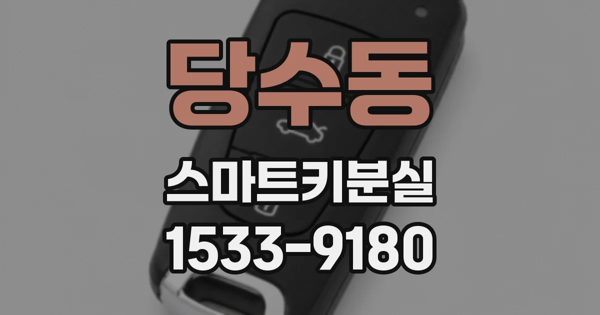 당수동 스마트키분실