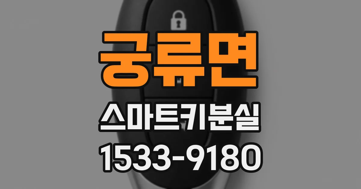 궁류면 스마트키분실