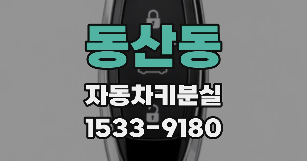 동산동 자동차키분실