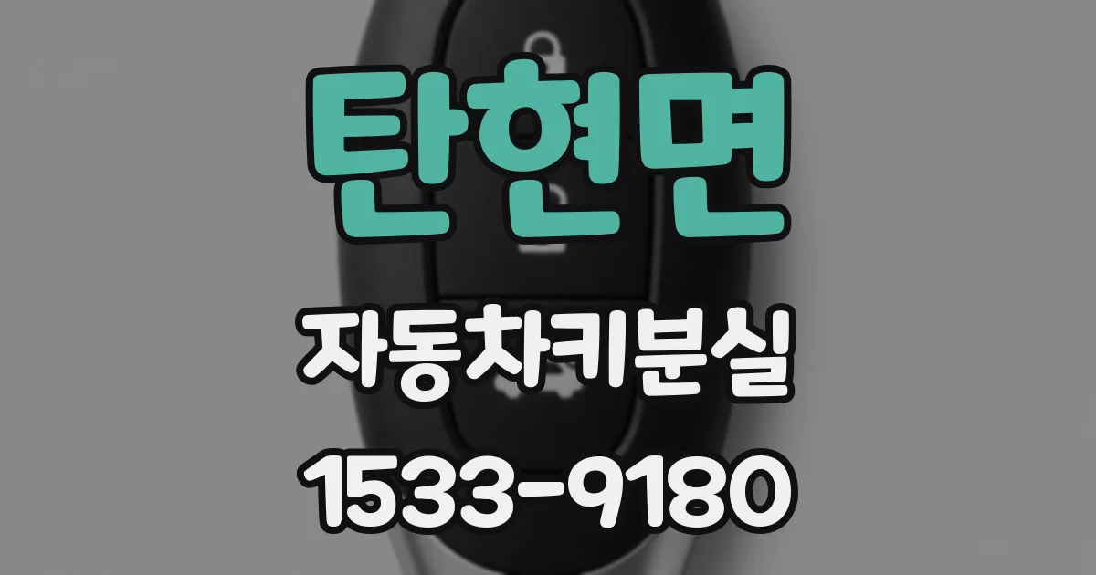 탄현면 자동차키분실
