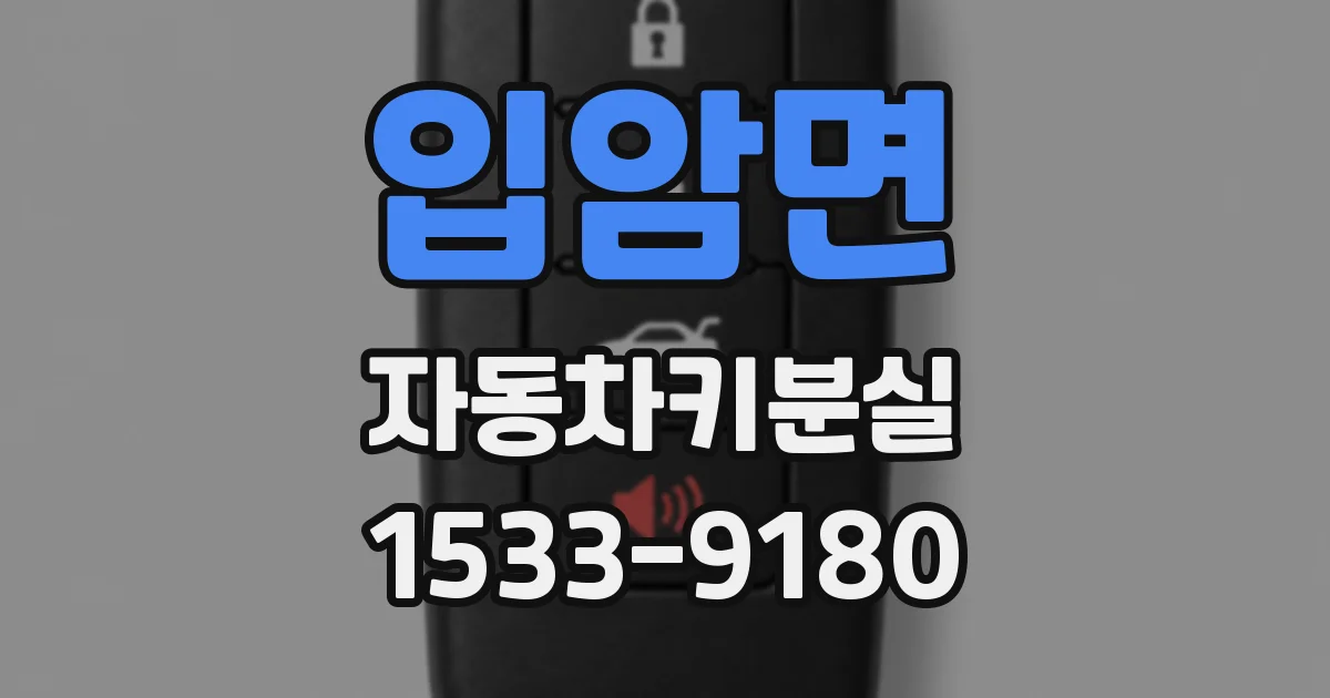 입암면 자동차키분실